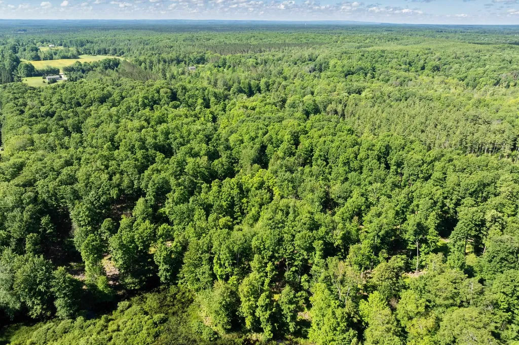 Tbd Lake Fife Lake Township MI 49633