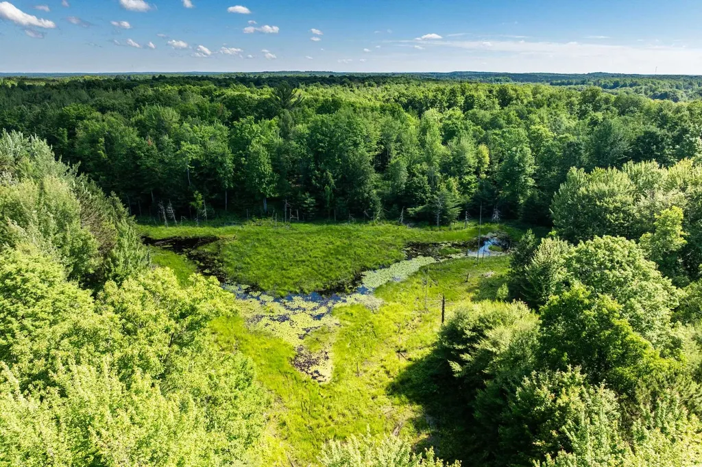 Tbd Lake Fife Lake Township MI 49633
