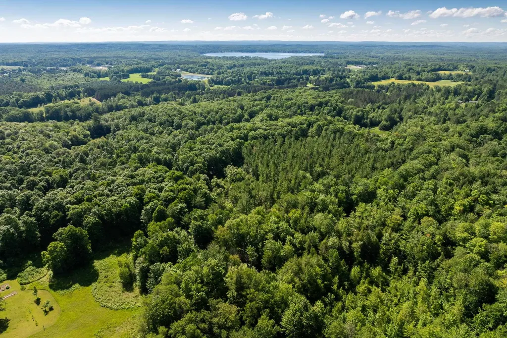 Tbd Lake Fife Lake Township MI 49633