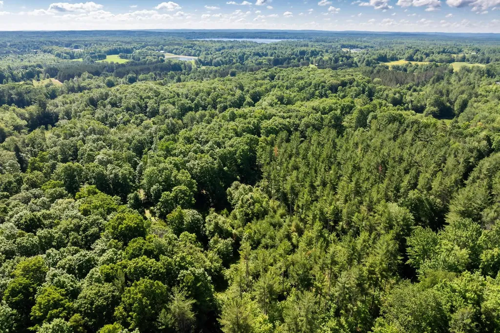 Tbd Lake Fife Lake Township MI 49633