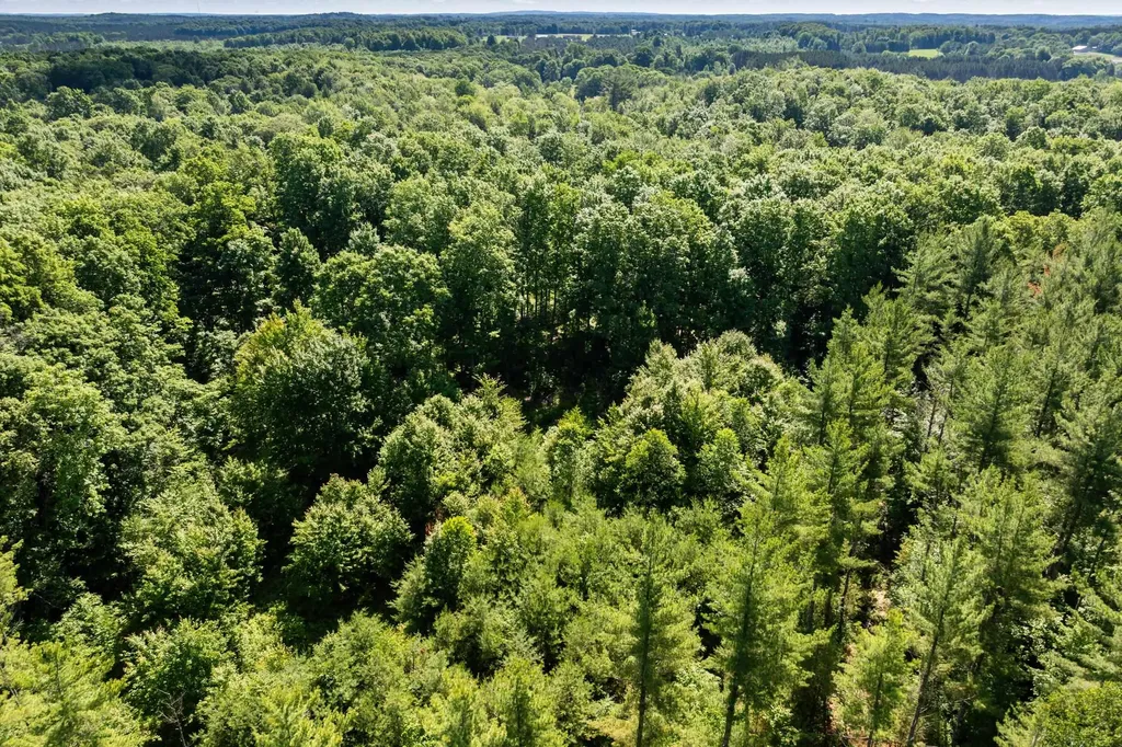 Tbd Lake Fife Lake Township MI 49633