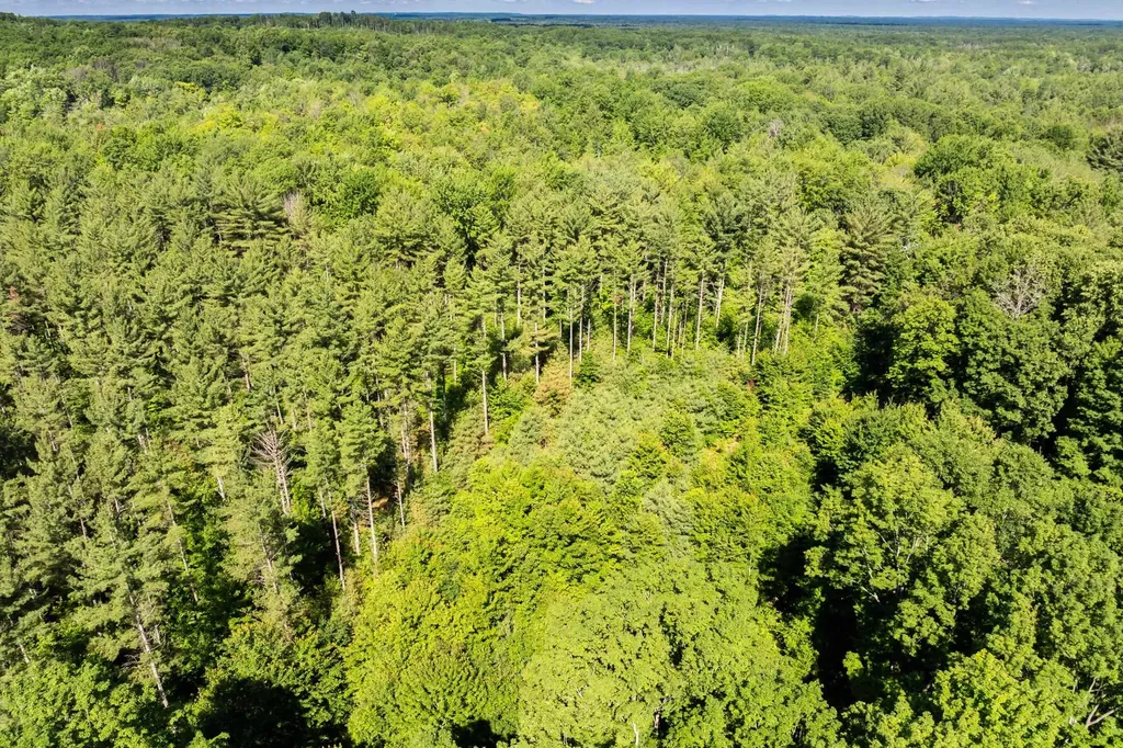 Tbd Lake Fife Lake Township MI 49633