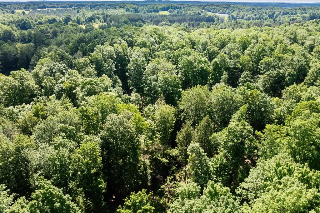 Tbd Lake Fife Lake Township MI 49633