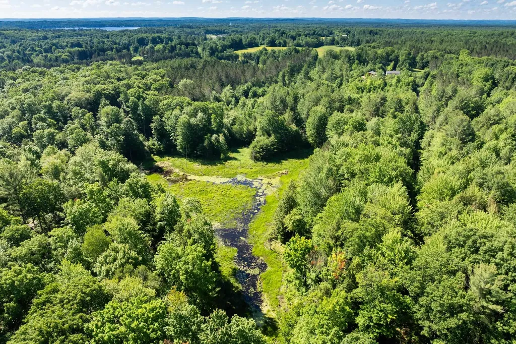 Tbd Lake Fife Lake Township MI 49633