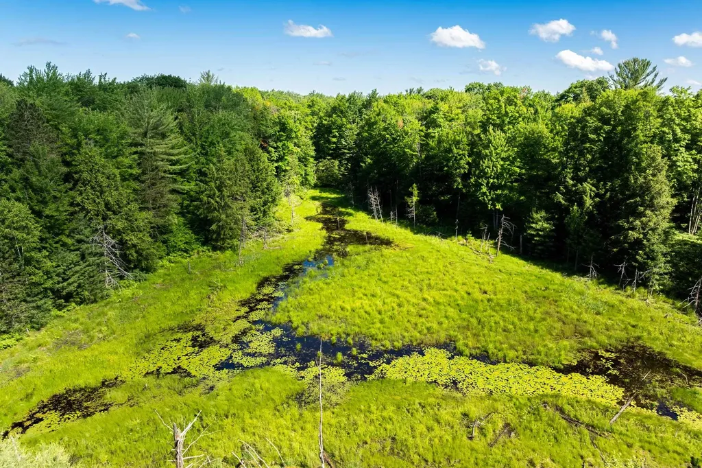 Tbd Lake Fife Lake Township MI 49633