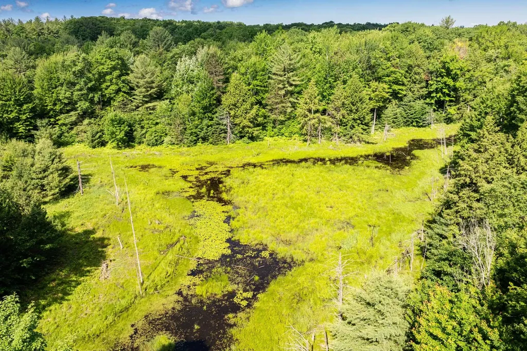 Tbd Lake Fife Lake Township MI 49633