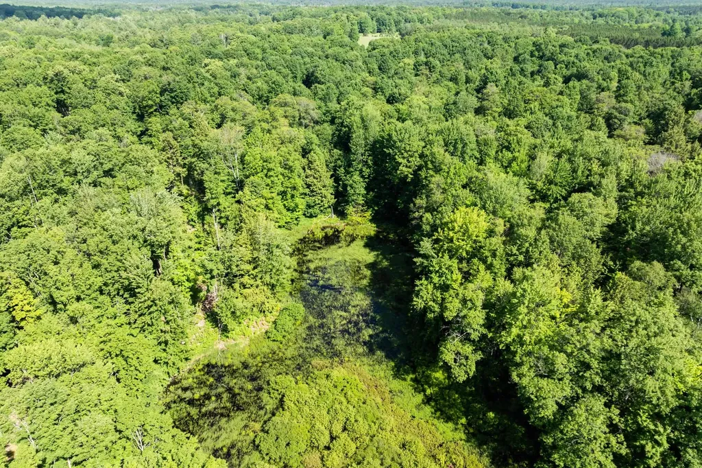 Tbd Lake Fife Lake Township MI 49633