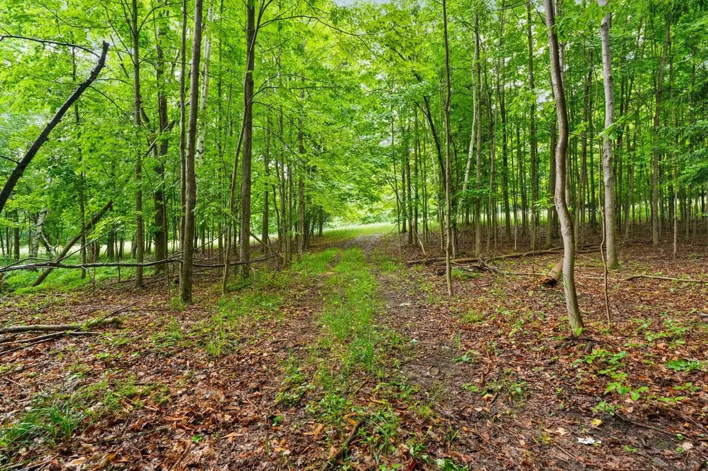 00 Erdman Road Arcadia Township MI 49660