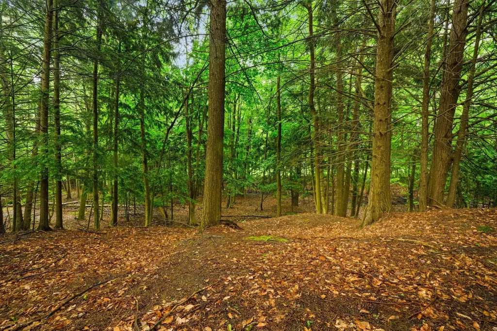 00 Erdman Road Arcadia Township MI 49660