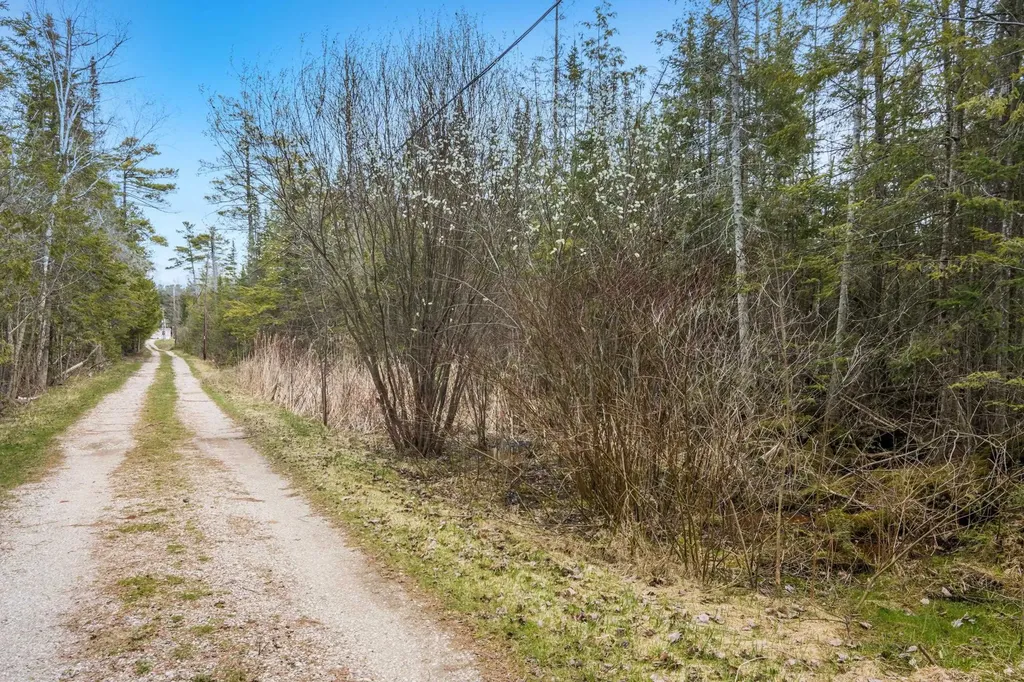 6386 Tricks Way Elk Rapids Township MI 49648