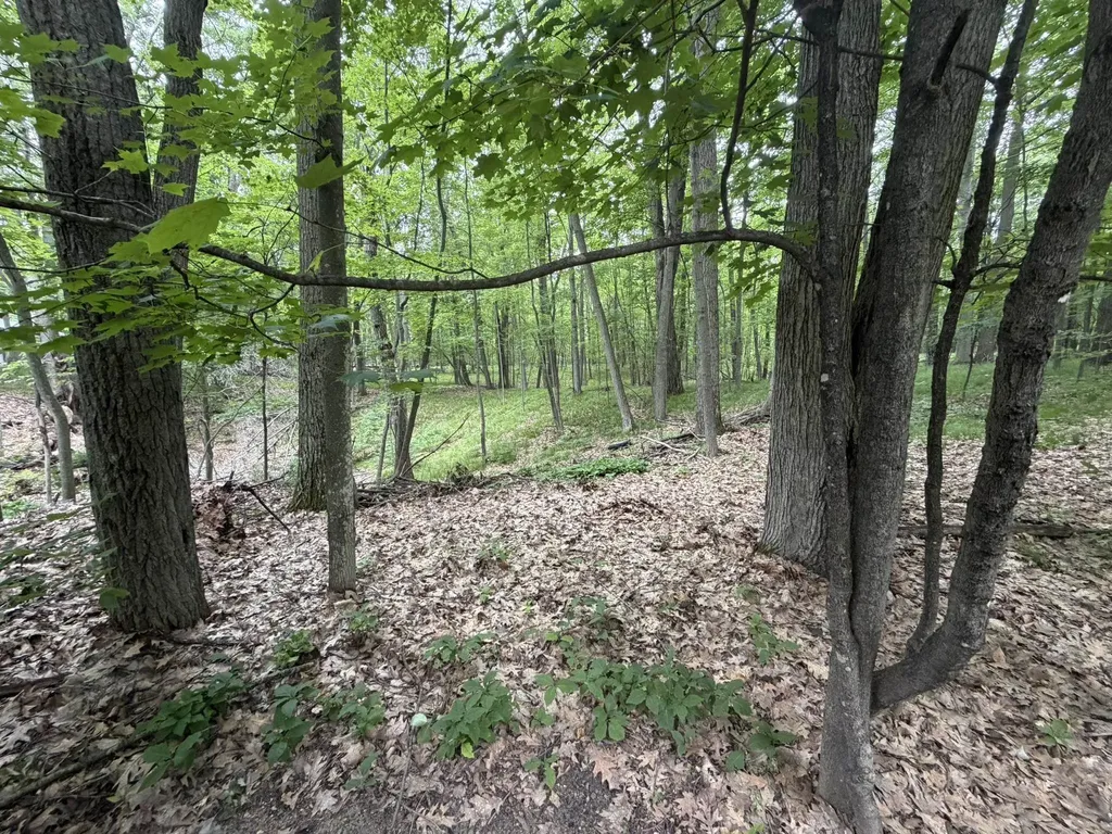 8520 W Sapphire Lake Township MI 49651