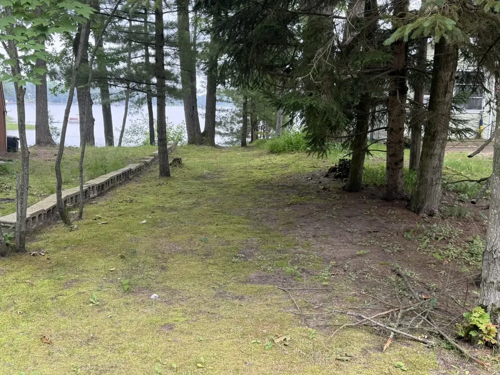 8520 W Sapphire Lake Township MI 49651