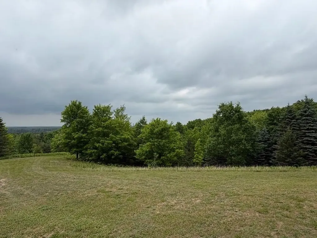 2324 Krumlauf Road Orange Township MI 49646