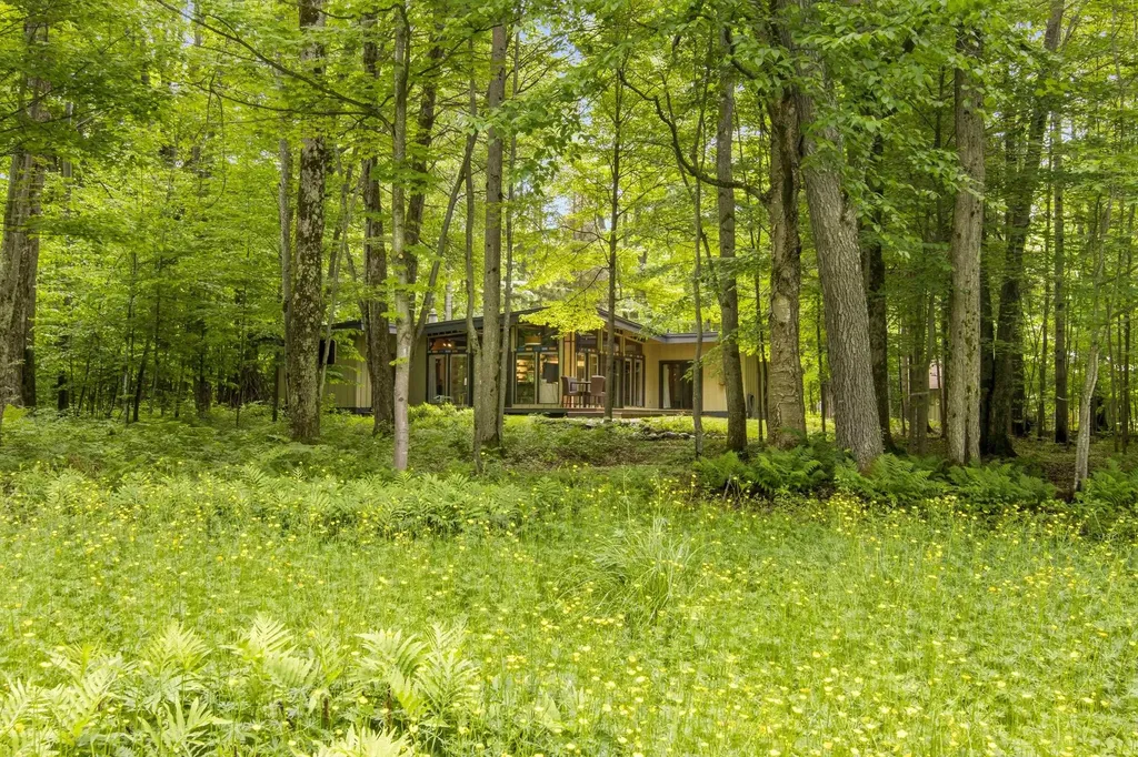 2176 W Schuss Mountain Drive Custer Township MI 49615