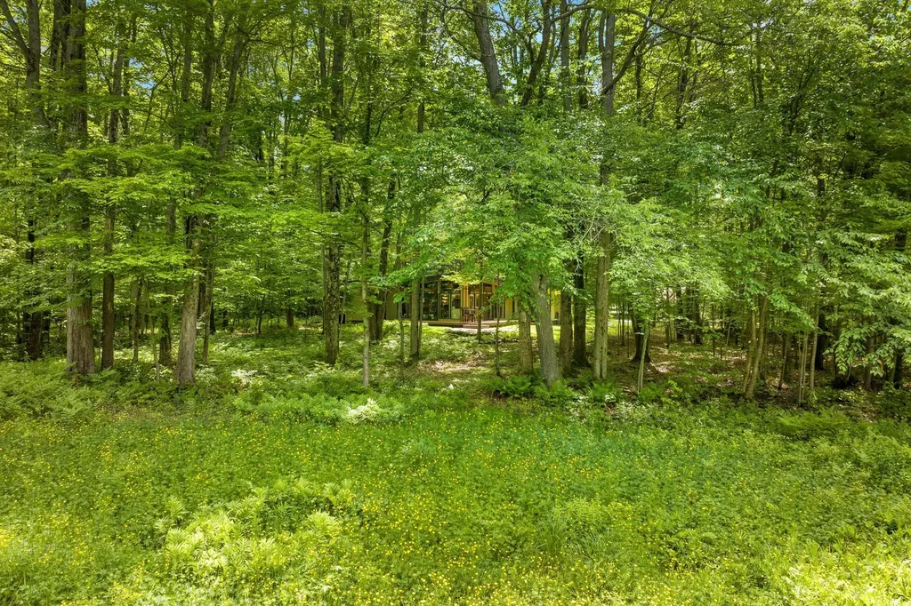 2176 W Schuss Mountain Drive Custer Township MI 49615