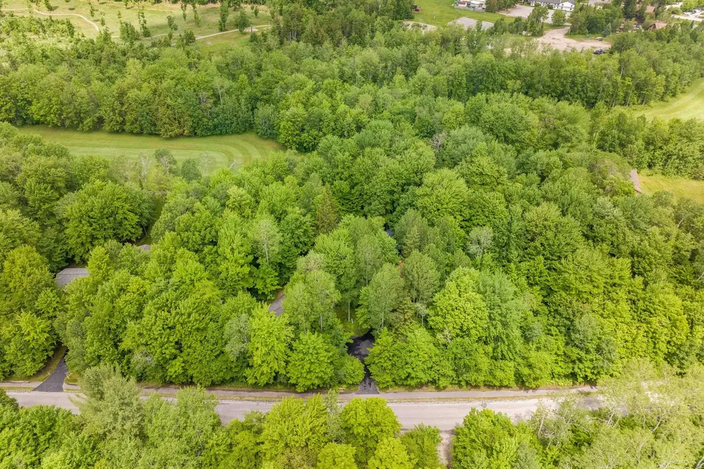 2176 W Schuss Mountain Drive Custer Township MI 49615