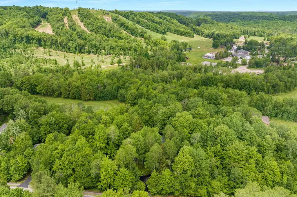2176 W Schuss Mountain Drive Custer Township MI 49615