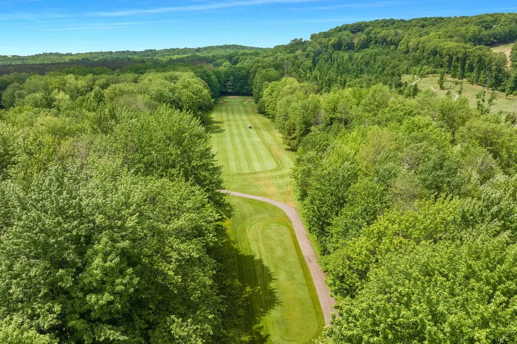 2176 W Schuss Mountain Drive Custer Township MI 49615