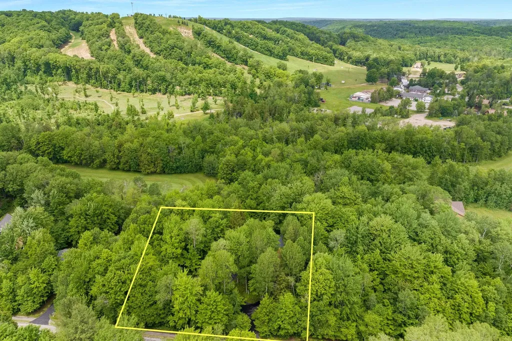 2176 W Schuss Mountain Drive Custer Township MI 49615