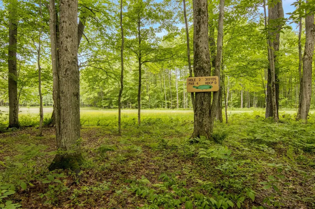 2176 W Schuss Mountain Drive Custer Township MI 49615