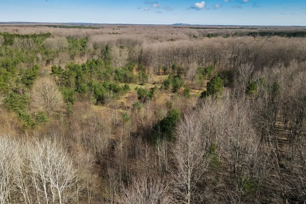 V/l Honor Highway Inland Township MI 49643