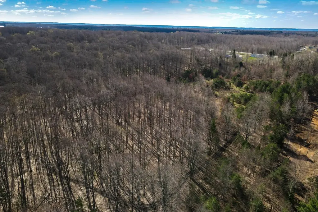 V/l Honor Highway Inland Township MI 49643