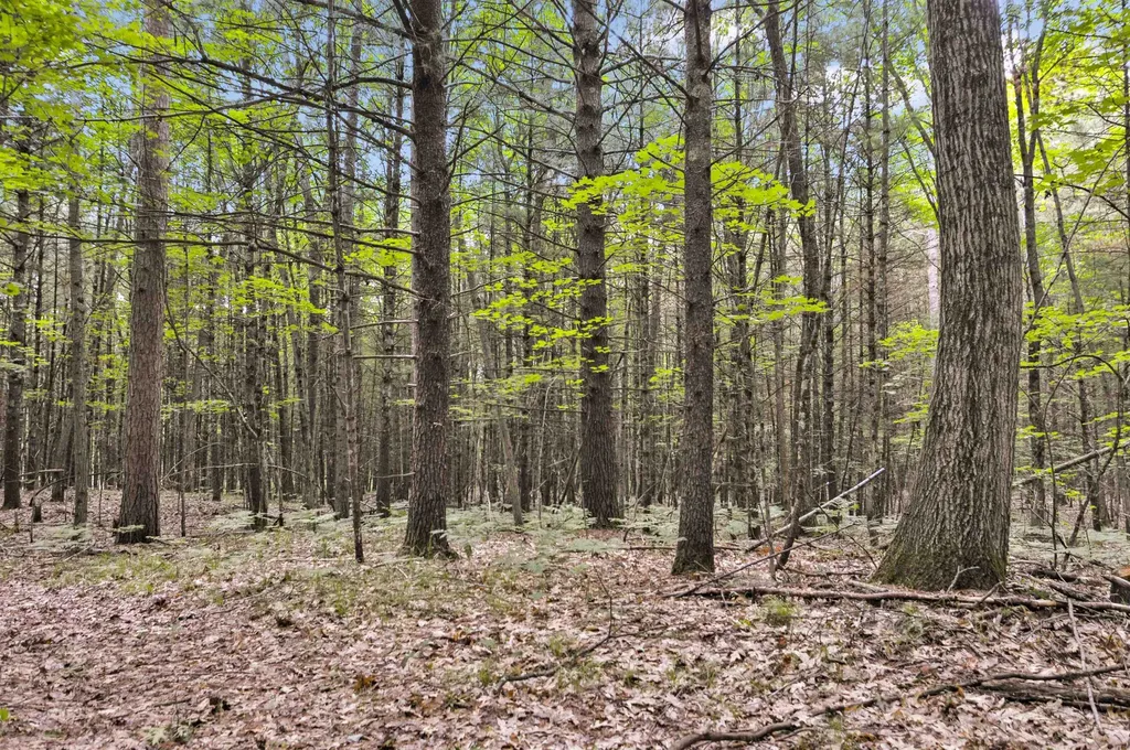 10694 N Mac Road Elk Township MI 49644