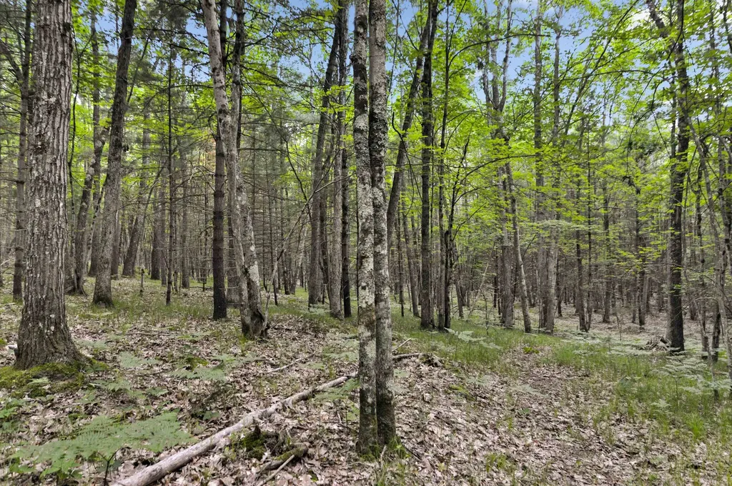 10694 N Mac Road Elk Township MI 49644