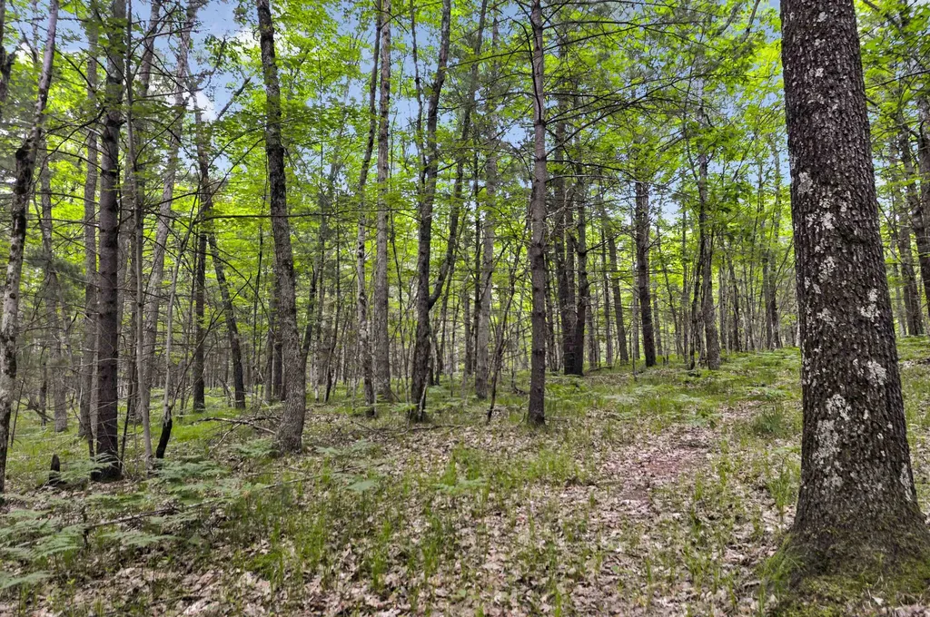 10694 N Mac Road Elk Township MI 49644