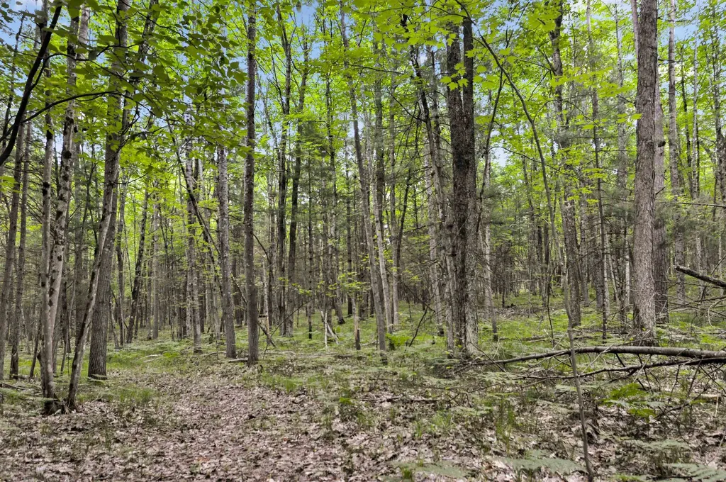 10694 N Mac Road Elk Township MI 49644