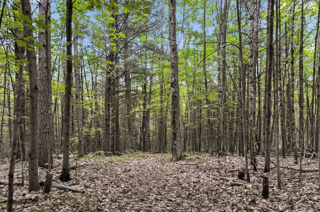 10694 N Mac Road Elk Township MI 49644