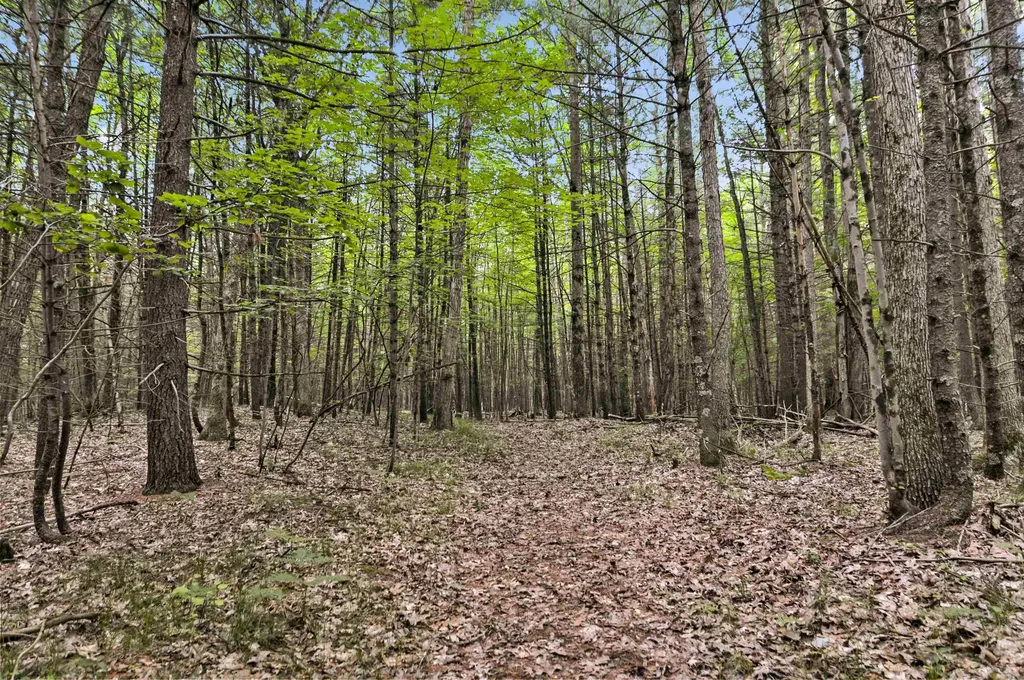 10694 N Mac Road Elk Township MI 49644