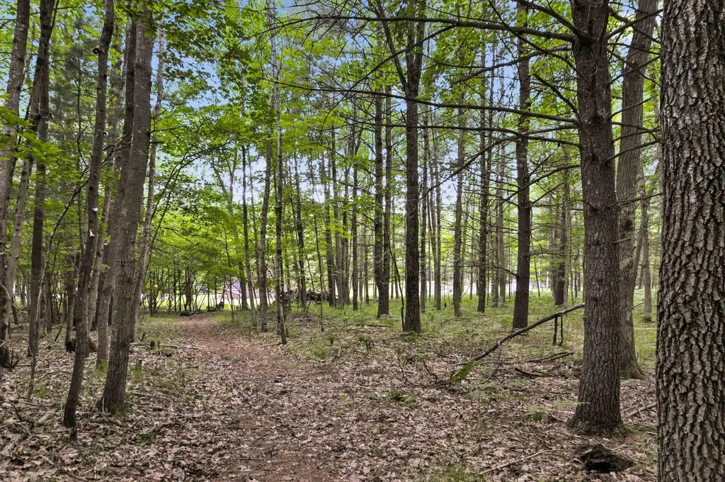 10694 N Mac Road Elk Township MI 49644