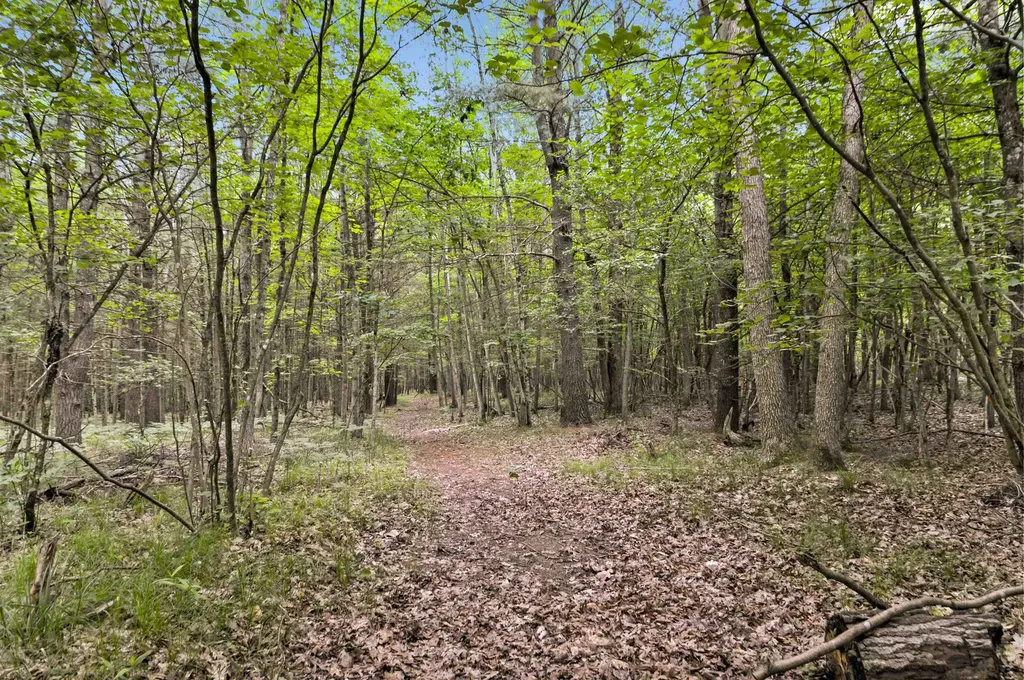 10694 N Mac Road Elk Township MI 49644