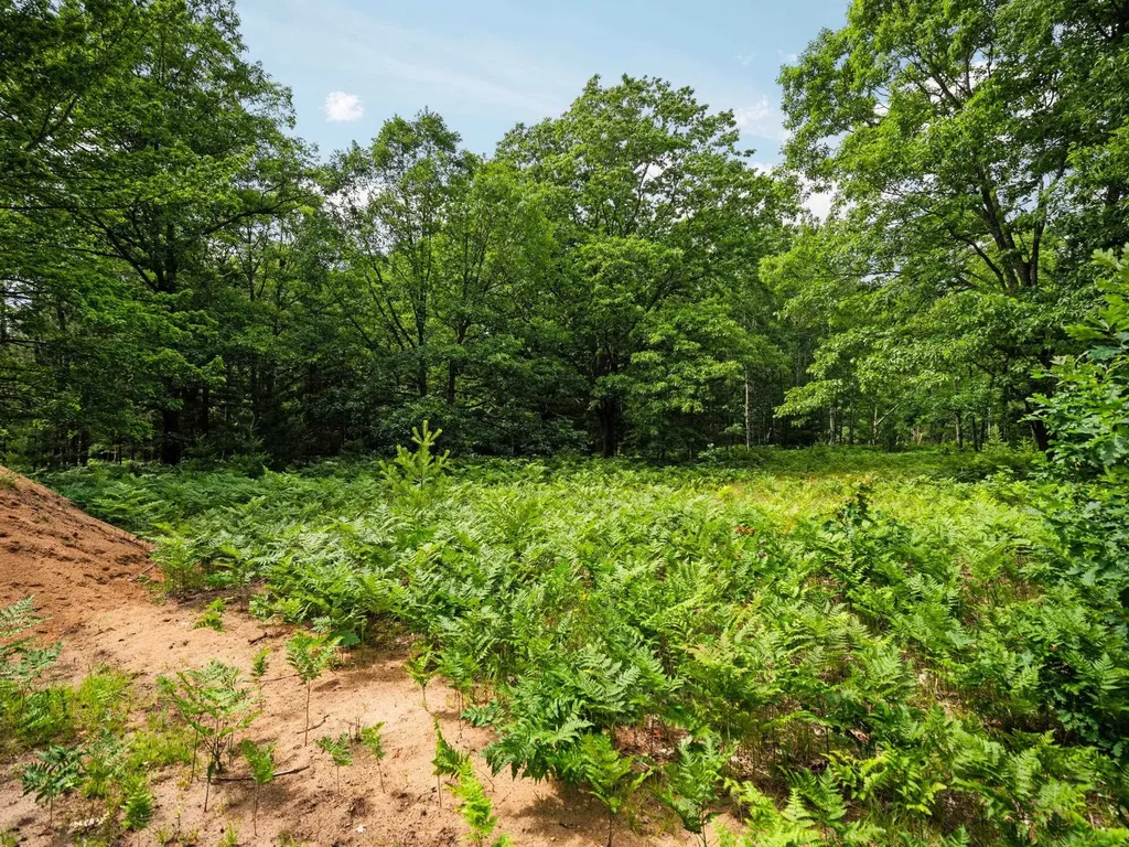 1636 Mary Lou Manor Green Lake Township MI 49643