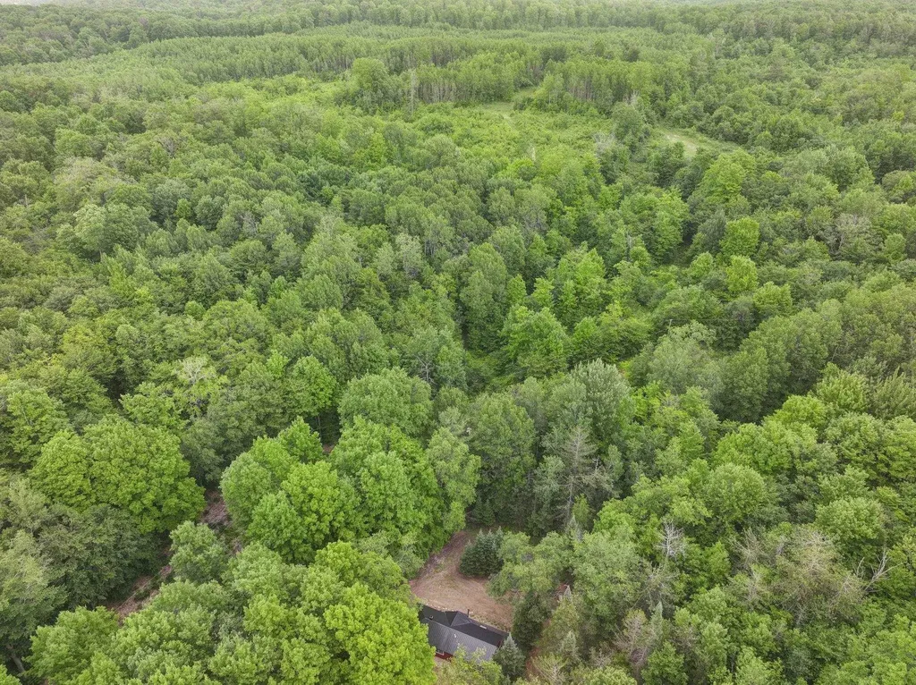 7979 N Turnerville Road Pioneer Township MI 49651