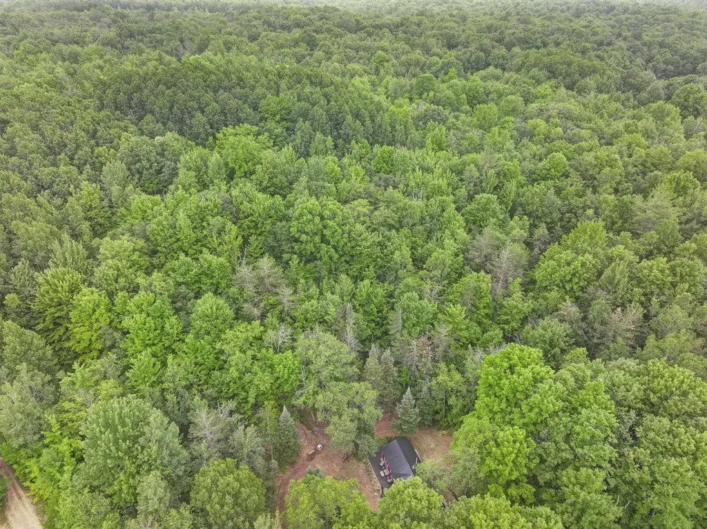 7979 N Turnerville Road Pioneer Township MI 49651