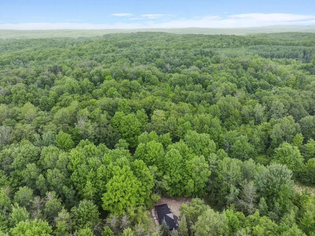 7979 N Turnerville Road Pioneer Township MI 49651