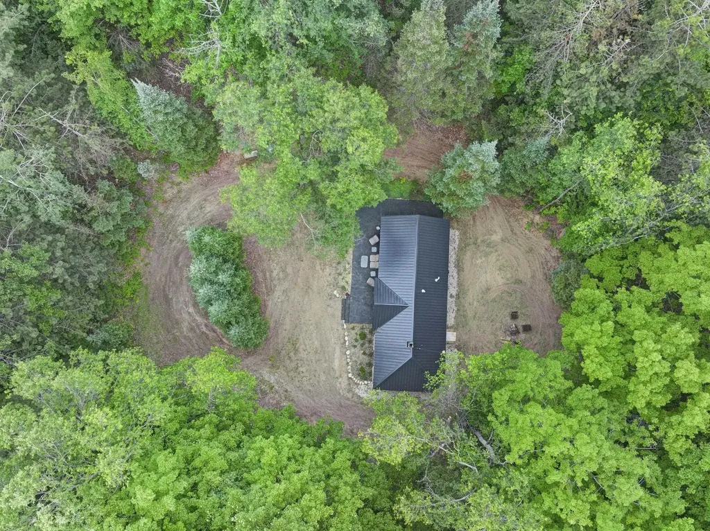 7979 N Turnerville Road Pioneer Township MI 49651