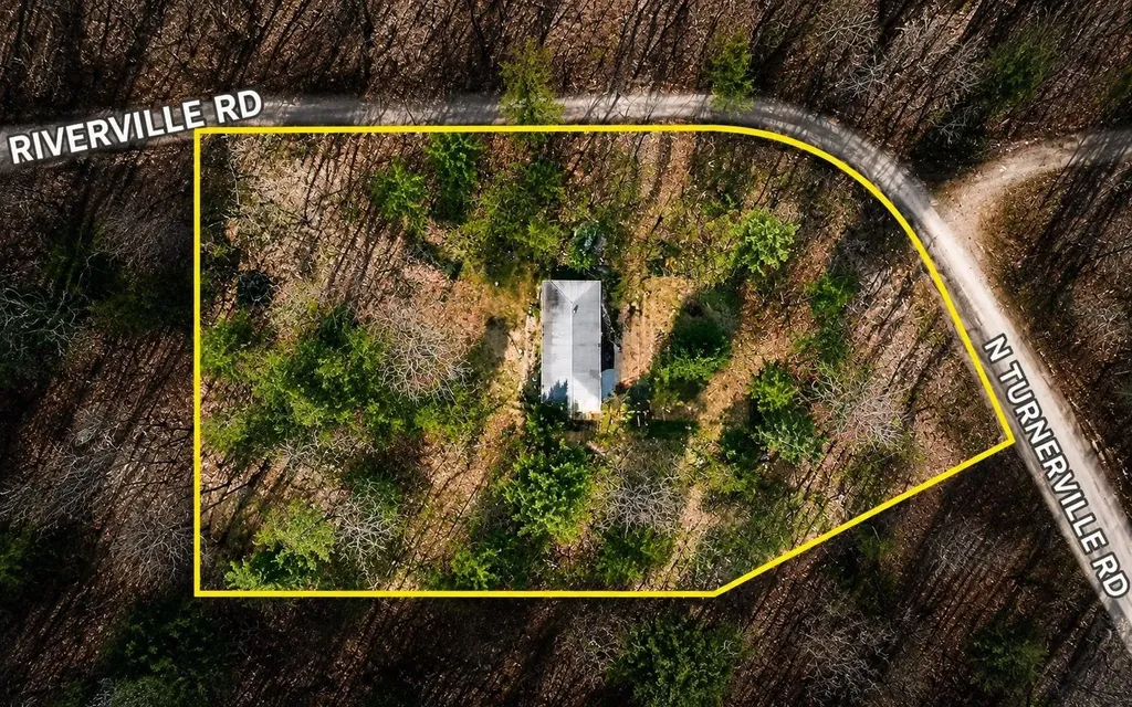 7979 N Turnerville Road Pioneer Township MI 49651