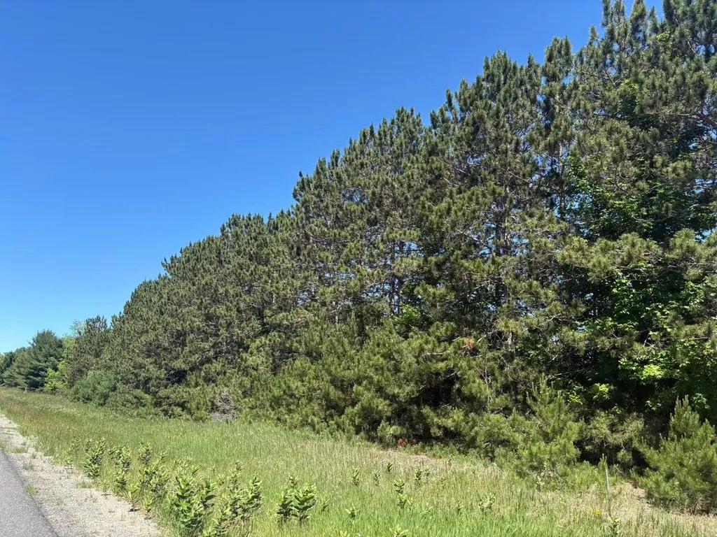 7.91 Butwell Road Pleasanton Township MI 49614
