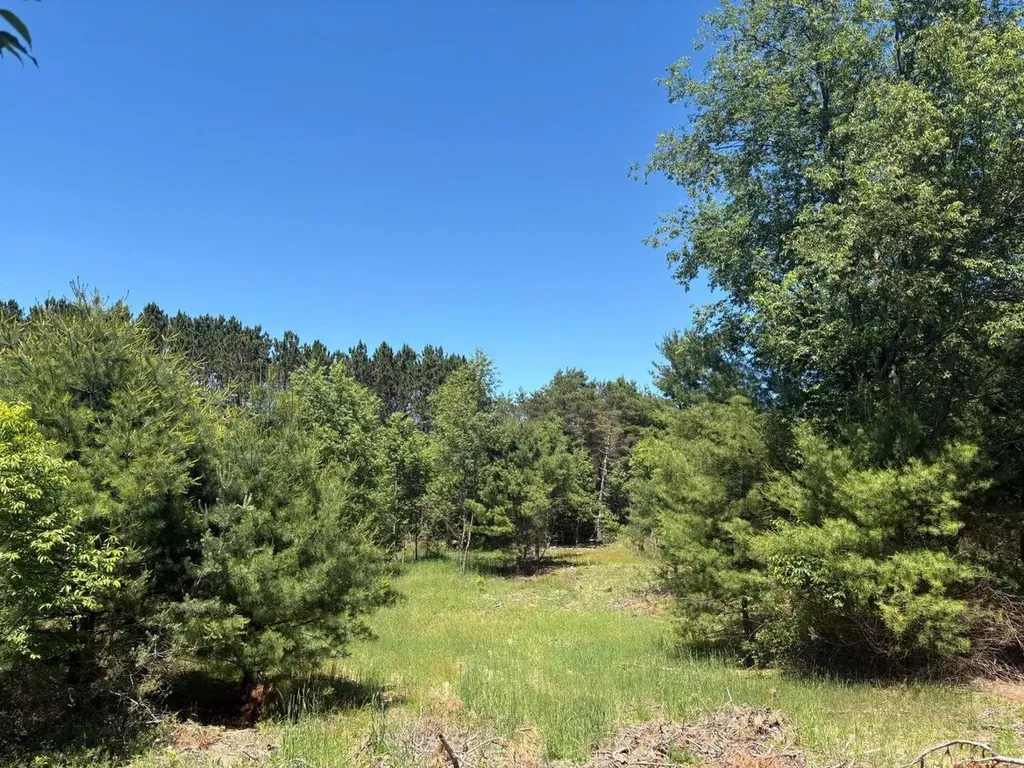 7.91 Butwell Road Pleasanton Township MI 49614