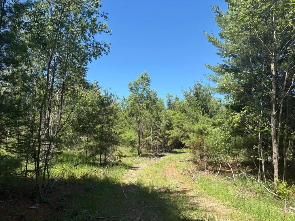 7.91 Butwell Road Pleasanton Township MI 49614