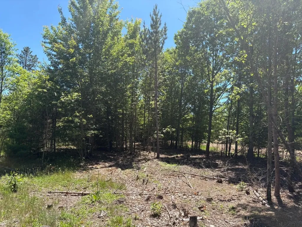 7.91 Butwell Road Pleasanton Township MI 49614