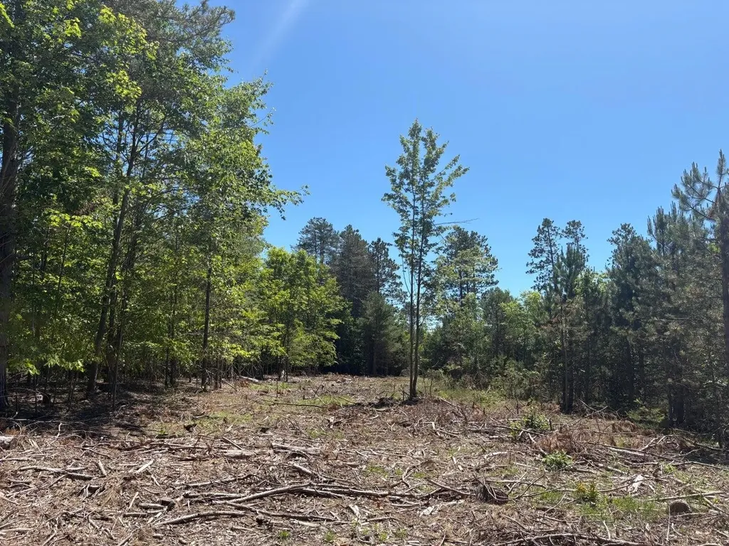 7.91 Butwell Road Pleasanton Township MI 49614