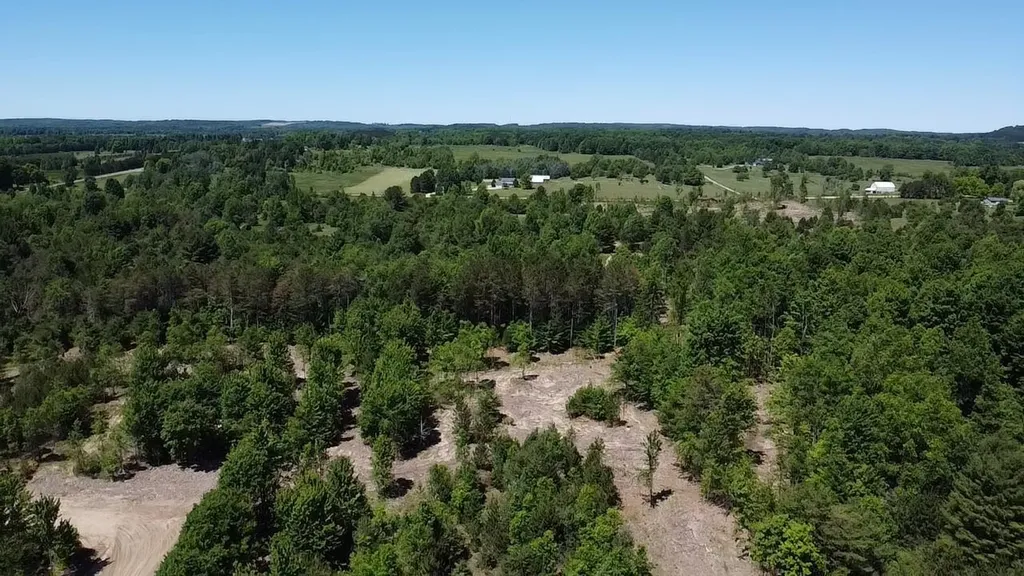7.91 Butwell Road Pleasanton Township MI 49614