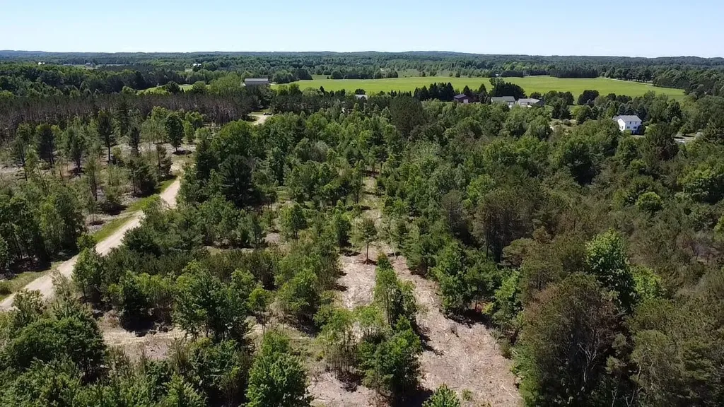 7.91 Butwell Road Pleasanton Township MI 49614