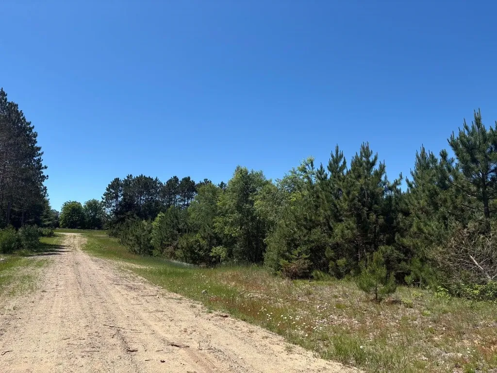 7.91 Butwell Road Pleasanton Township MI 49614