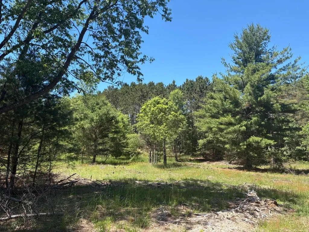 7.91 Butwell Road Pleasanton Township MI 49614