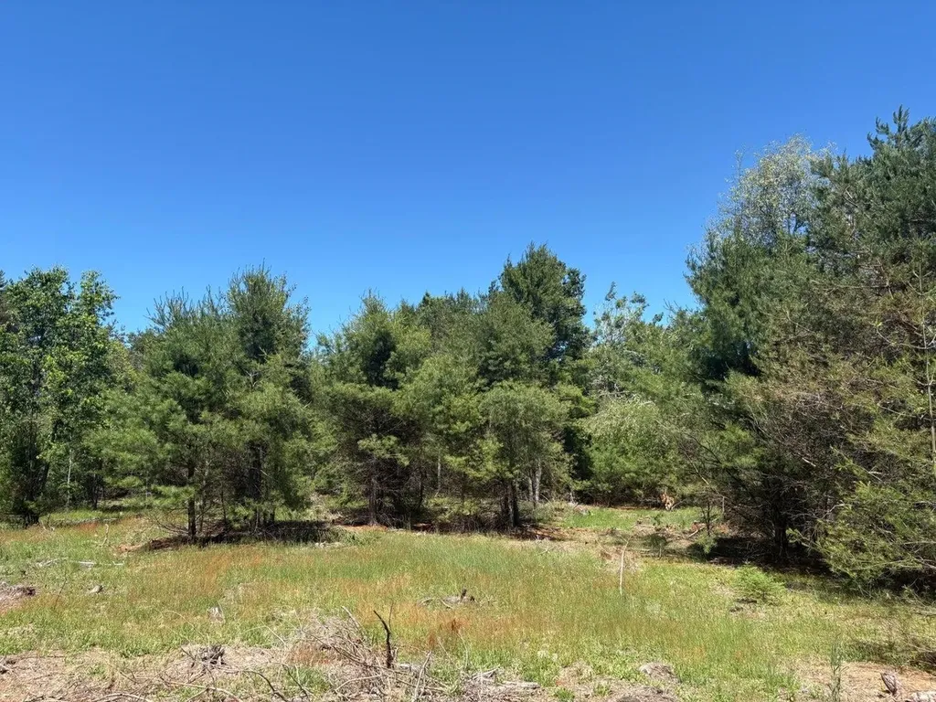 7.91 Butwell Road Pleasanton Township MI 49614